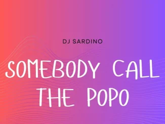 DJ Sardino - somebody call the popo