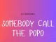 DJ Sardino - somebody call the popo